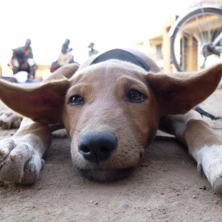 4bae4870 9e24 4257 902a 68b1a5829578 1511168067261