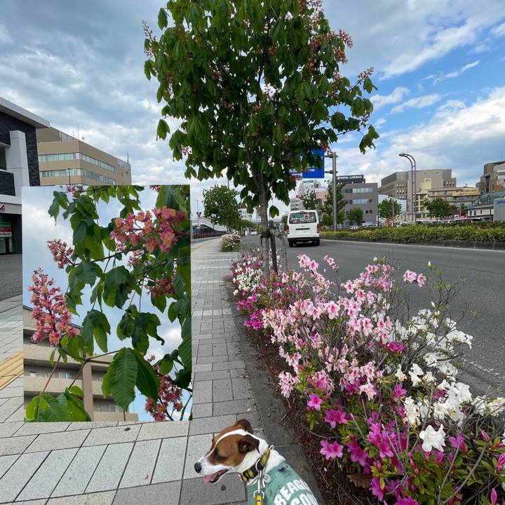 4bae5a3d feaa 4cac b98e 06e8e29f5a0b 1651929434065