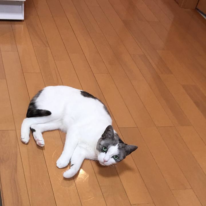 4bae7db1 1ca0 4519 9e77 191fcd14003c 1524446108349