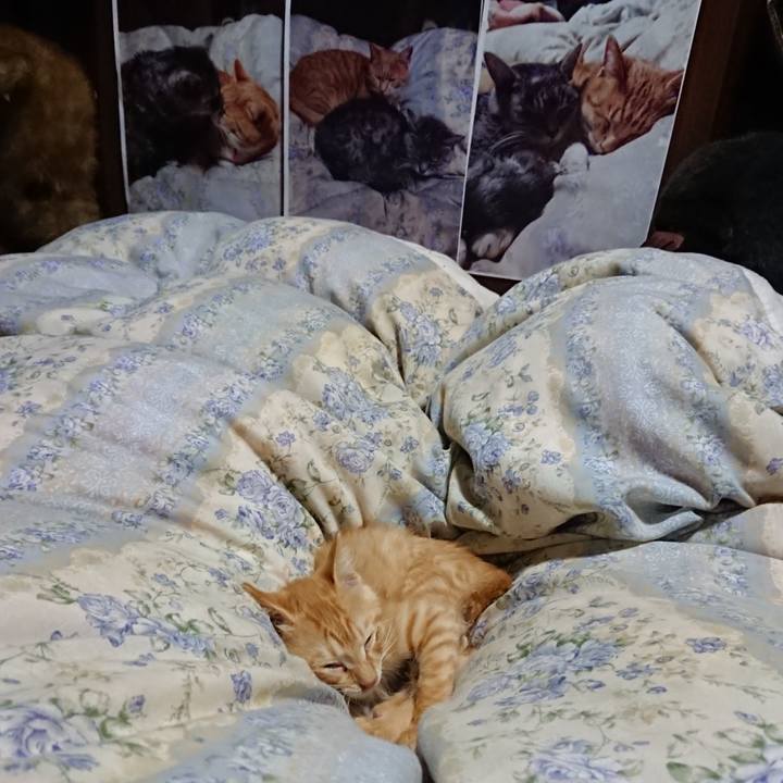 4baea4e5 ed30 45af 8697 b5bdfcff6f5f 1630672844259