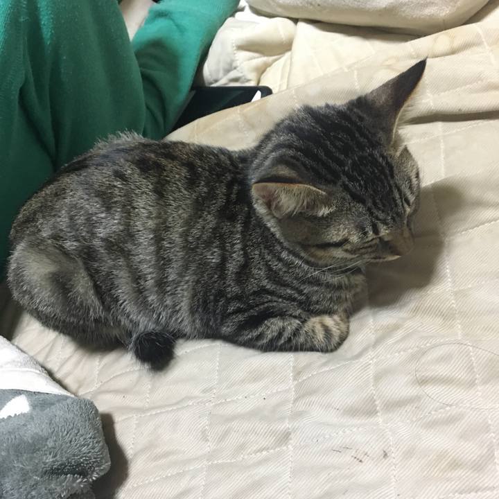 4baed548 040b 4425 b9cd 8f3bc803aa6d 1540480862620