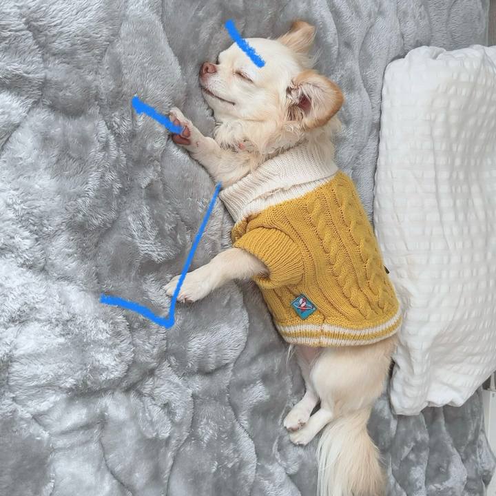 4baef969 1e6b 425e 8b15 b9ad02d2e830 1701062125224