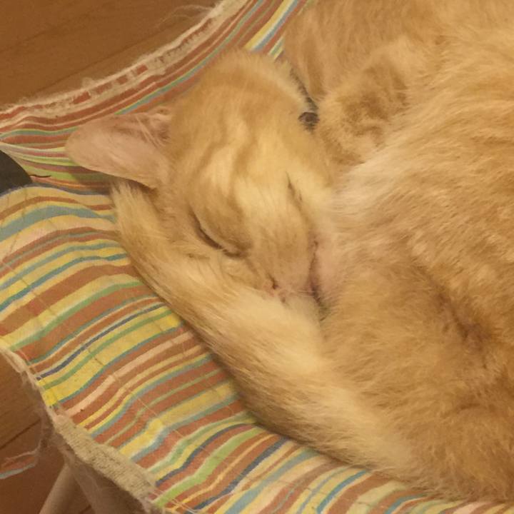 4baf27a0 43bc 48a8 9d21 a07061fe3bad 1561814748970