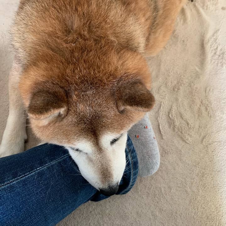 4baf5875 c215 43c7 a1c1 d5d0ff515e93 1567916473525