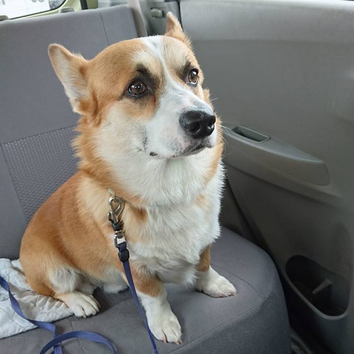 4baf66de 6fa3 4178 880f fb14efcc8dc7 1595320069152