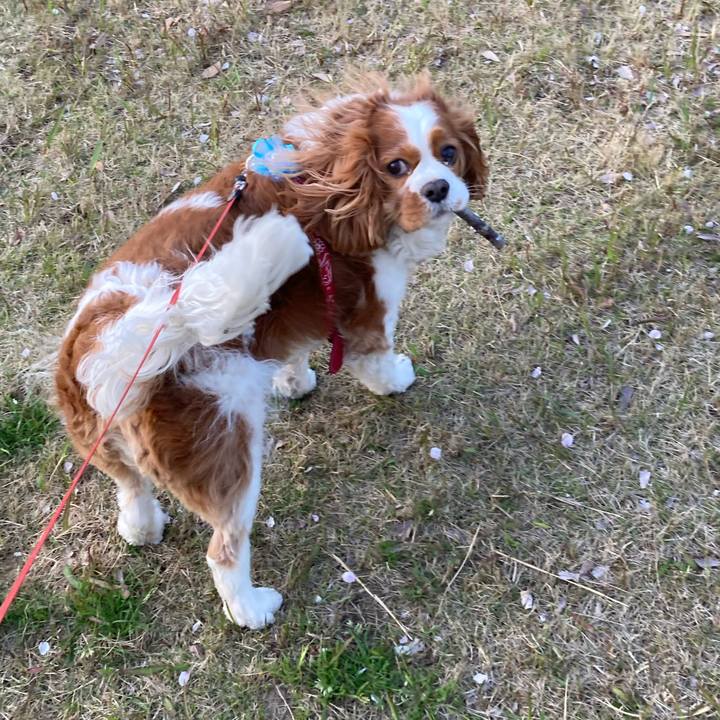 4baf8432 dc2f 409e 9e2d b1da68e1ec51 1744207073533