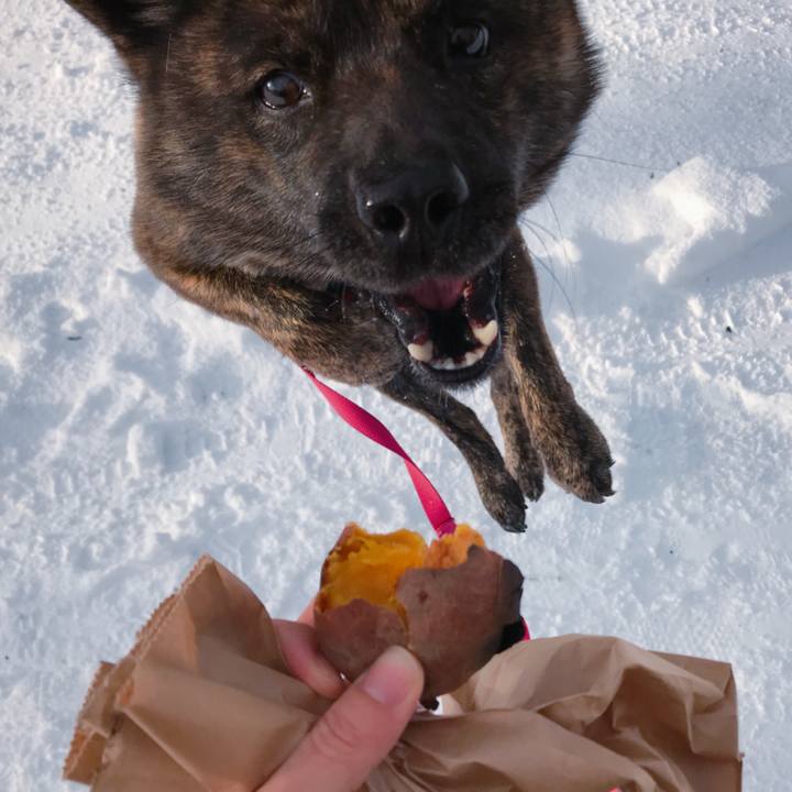 4bafc8be 0bc3 4eeb a85b e77c14b20b79 1515889543817