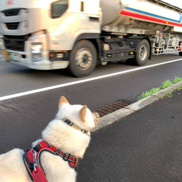 4bb0086d 9f6e 485f acea a52f06f6d5dd 1657744791292