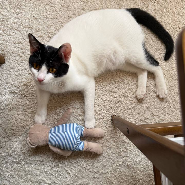 4bb081e3 9102 4497 9458 f4da4e98c4e1 1770814493995