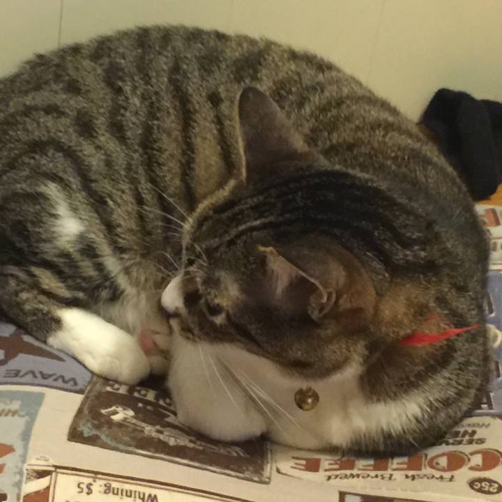 4bb0c569 edae 4852 8af7 78134f81481b 1560084455524