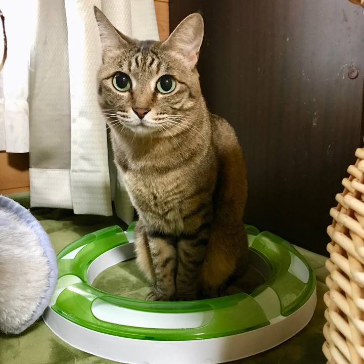 4bb0dc30 c221 47b6 a89e 0abcc16be480 1519340856158