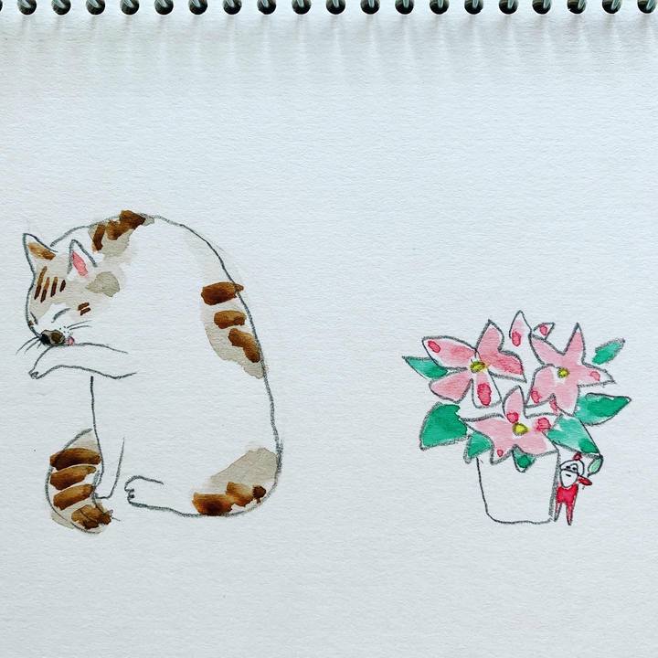 4bb104ff 7acc 4198 9641 c889f02d809b 1604626786285