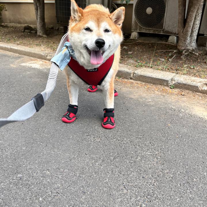 4bb1324c 804f 42ac 9a4d a613b327bbad 1729404554393