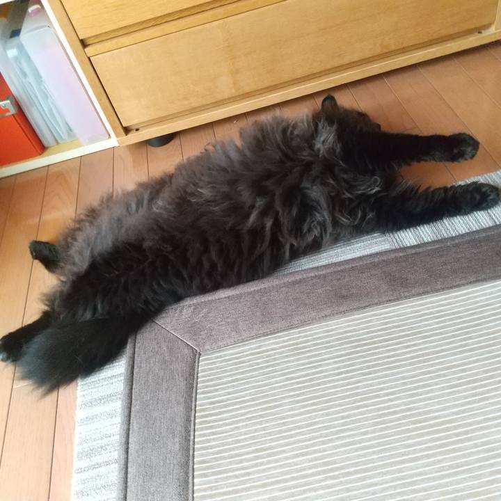 4bb148ca d999 4119 883c 1c038e521b6f 1629674766888