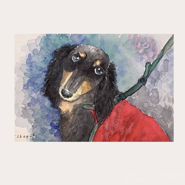 4bb16157 1ae7 4504 8af1 31a0cc7c5710 1682617319143