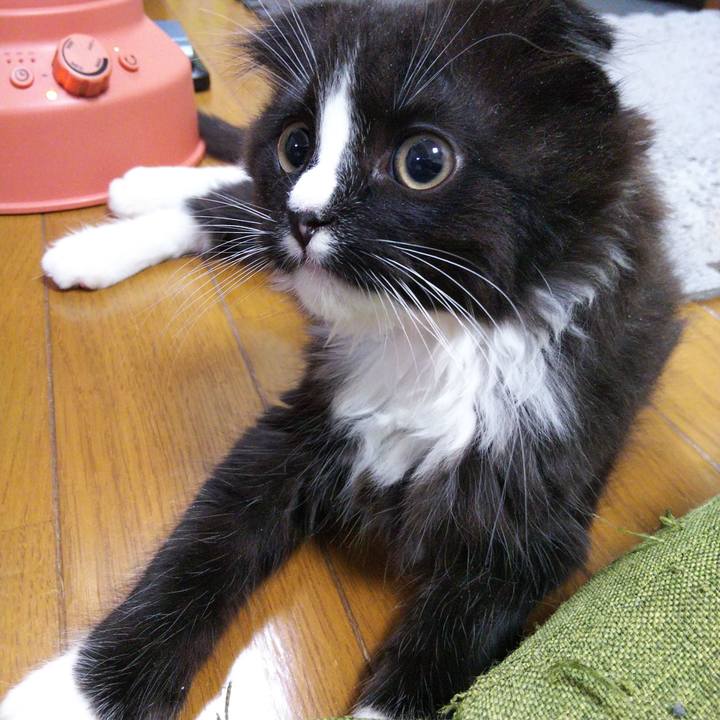 4bb16ac3 bb3b 4fcd 9974 3e56a8b9a04a 1639660329351