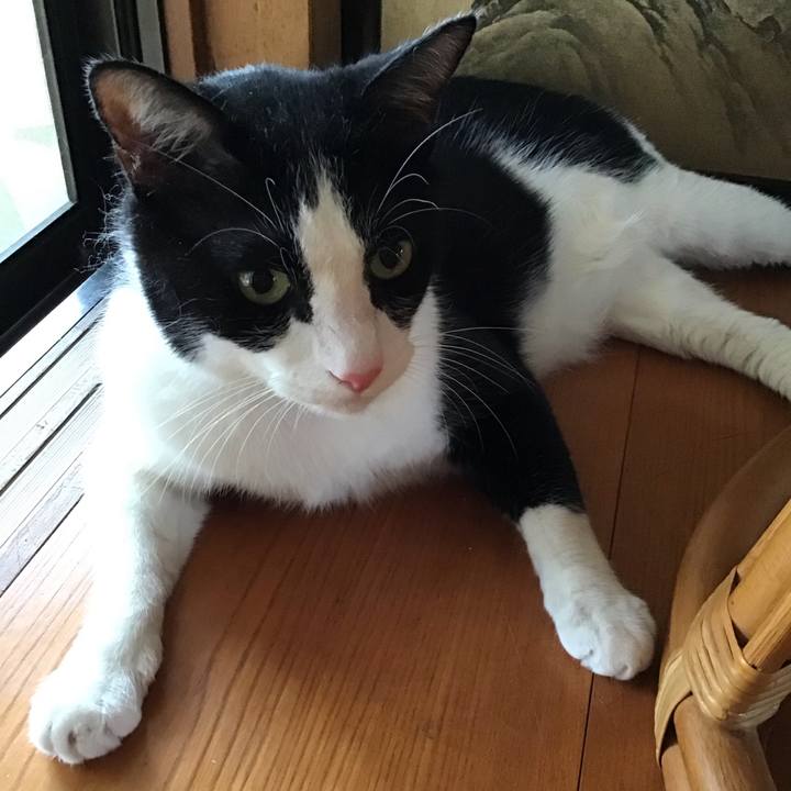 4bb16ac4 4527 4980 bfb6 a9431a73e7bc 1755678697225