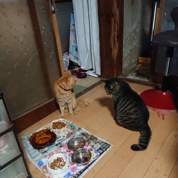 4bb18230 6382 4461 a22a 6cce4fde6c06 1658782604782