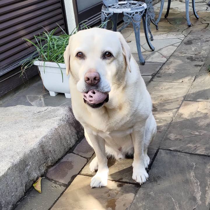 4bb1b81f f9eb 41f4 8121 b1c202fbca53 1702702394844