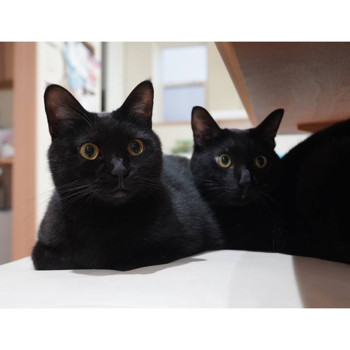 4bb1b83d 349e 433b 88bc 9d408574e495 1602157830078