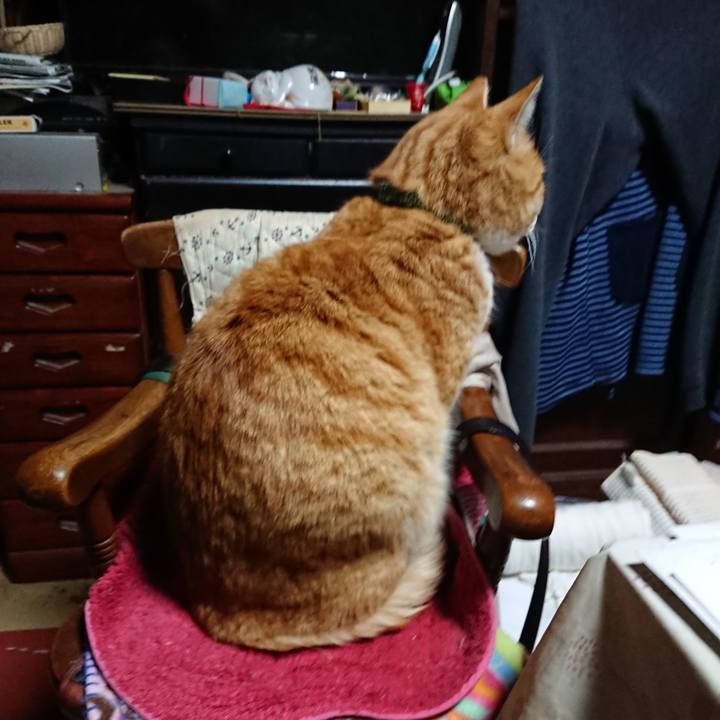 4bb1d2b8 3d46 49ba 895d db1174f5e2d0 1581454490830