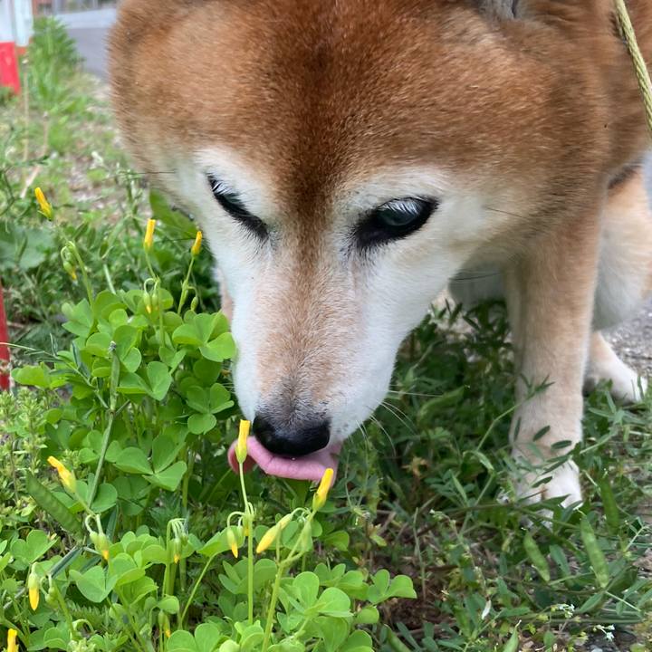 4bb20ac4 1369 4854 977b 5a6e8a45547d 1713684109781