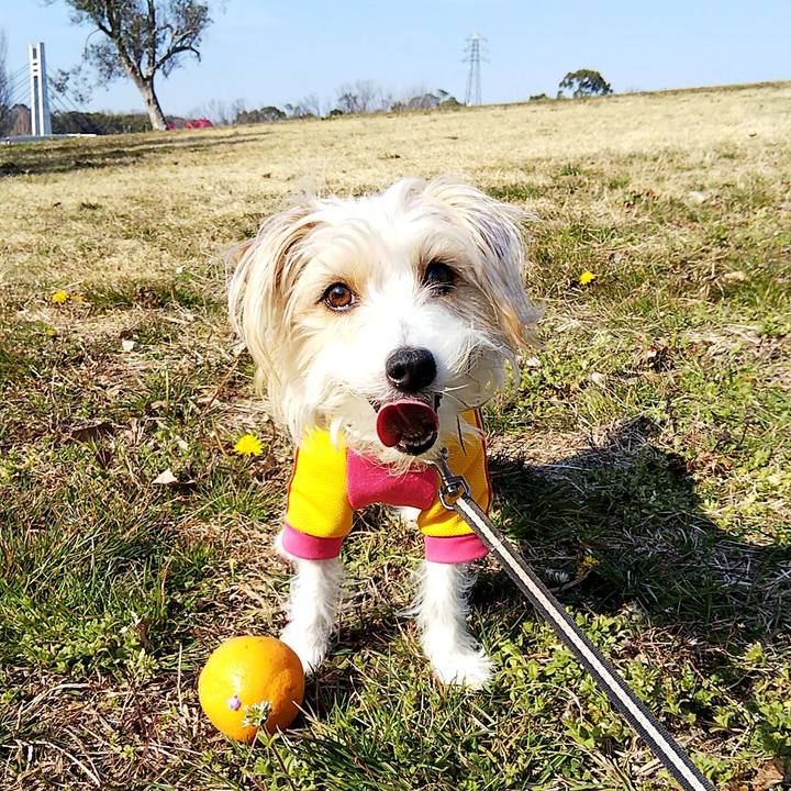 4bb223fc dee5 42af a99e 751365165302 1551533517915