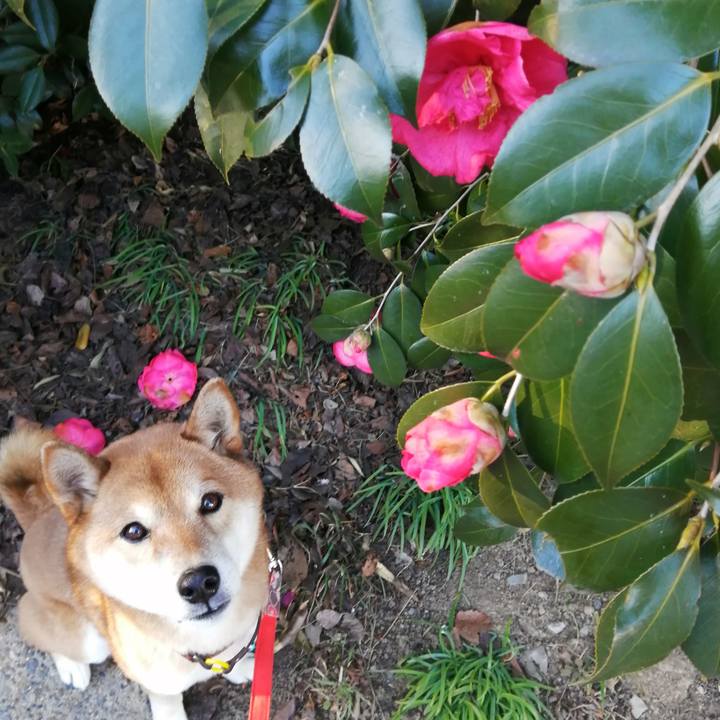 4bb2672b da8e 48c5 ad28 f800ce8029da 1612078808745