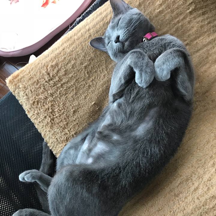 4bb287f5 bb12 4872 b2fd 7d5a43a4eef7 1523577795839