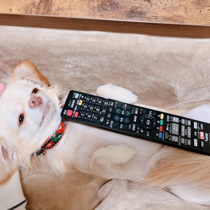 4bb293c4 5f4d 47f1 8e61 580a08fe30ae 1669813992730