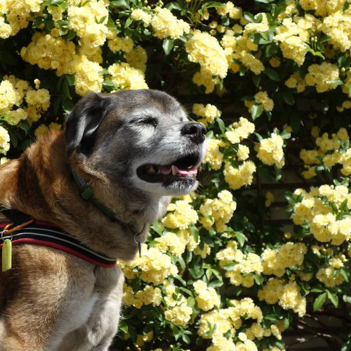 4bb295dc 7bef 4725 9965 5927d0afbaf5 1586998119812