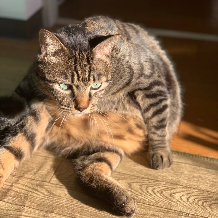 4bb2a10f 368d 49e1 840b ecf6b650259d 1540464171710