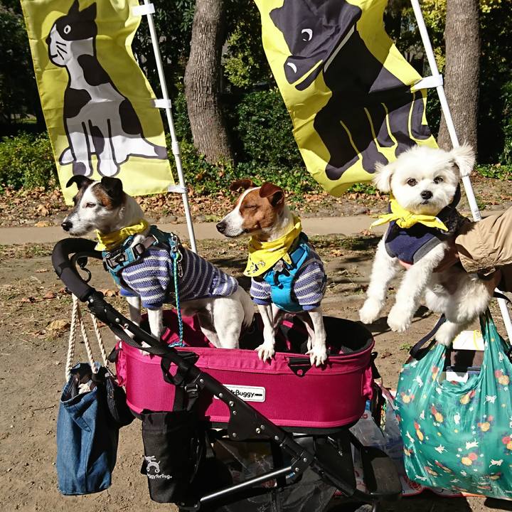 4bb2b489 ace1 4e80 b7cd 8a0643cfe4c9 1606543614140