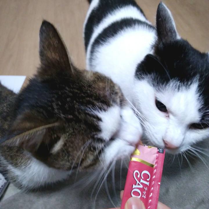 4bb326d1 6ccc 4ea2 89ba c4a69ba7afba 1552388693034