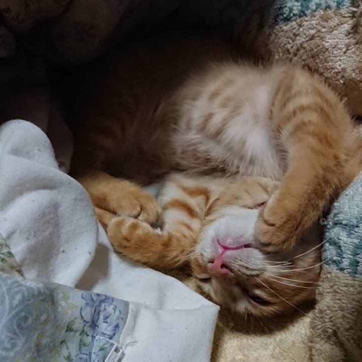 4bb34684 7f09 49ed 87d3 c191a7338e1b 1631364152937