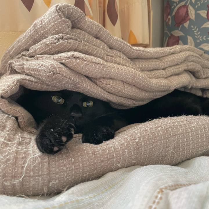 4bb34f93 16c9 4895 8c8d 703ba91f82be 1746015221128