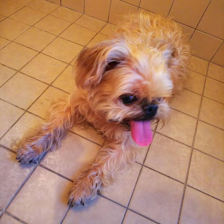 4bb34ff4 0c48 4f27 b9fe 8923c8b44a40 1557555047031