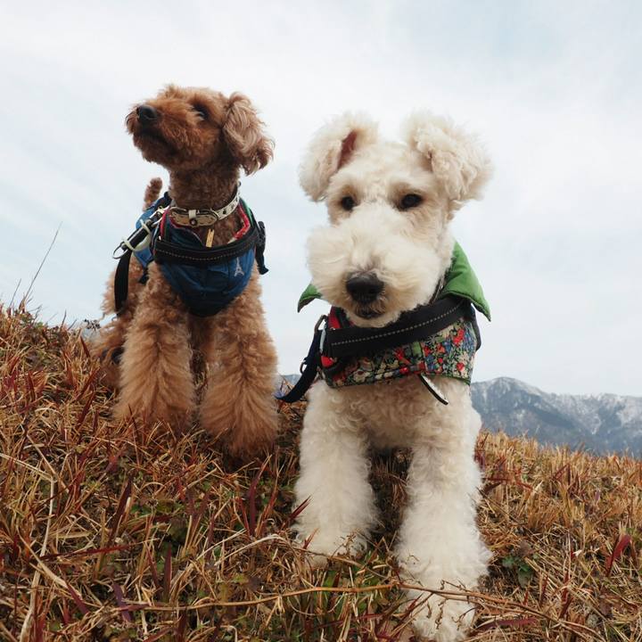 4bb3567d 3e3f 4c23 8a7d 01ee6688ec0a 1514705862843