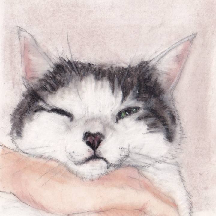 4bb3628c 312c 4e62 aee5 ac2c7ad336fa 1724899969827