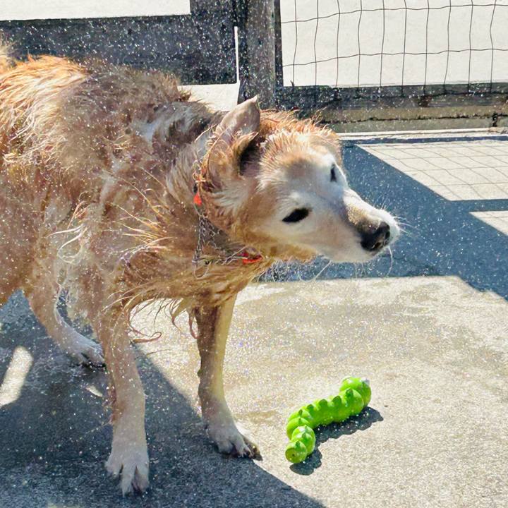 4bb39a33 1b4c 4924 beb9 20084a8476d4 1761224509136