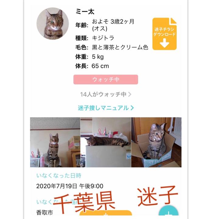 4bb39ed9 3d24 4468 a622 1c60f4c38df6 1595396575694