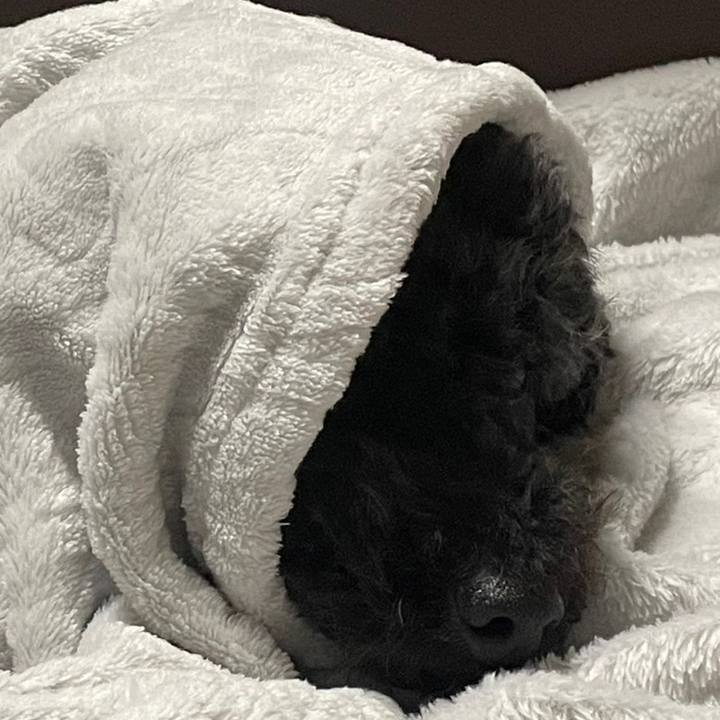 4bb3d689 77a4 4f07 8b2b c25125505330 1674568821687