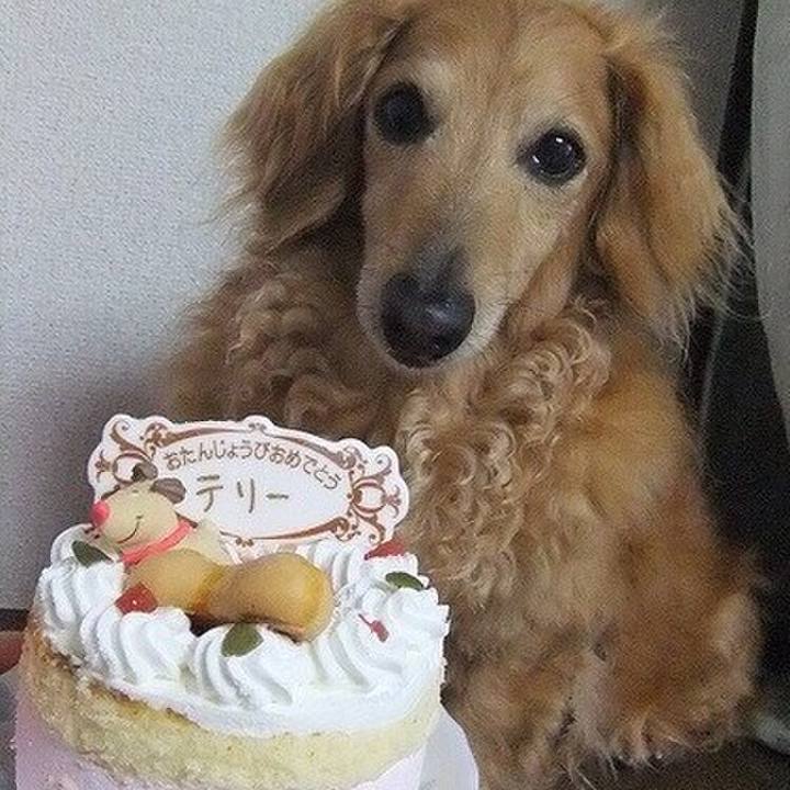 4bb40189 dd61 45ca b8c8 c40bd7978a29 1558355640031