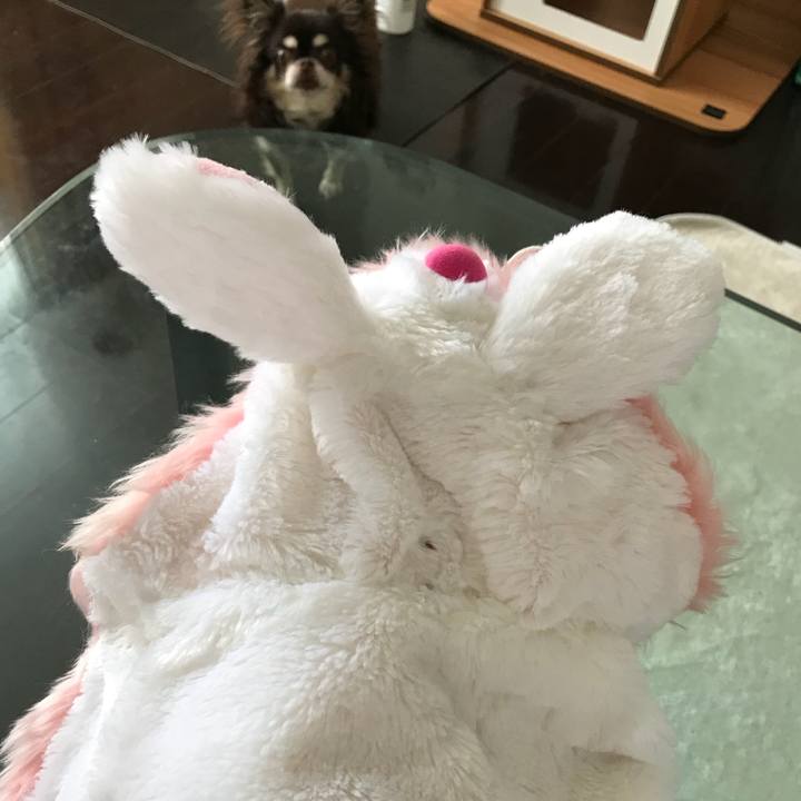 4bb40733 0afa 414a 9b59 c79f8ef4b4bd 1537102455362