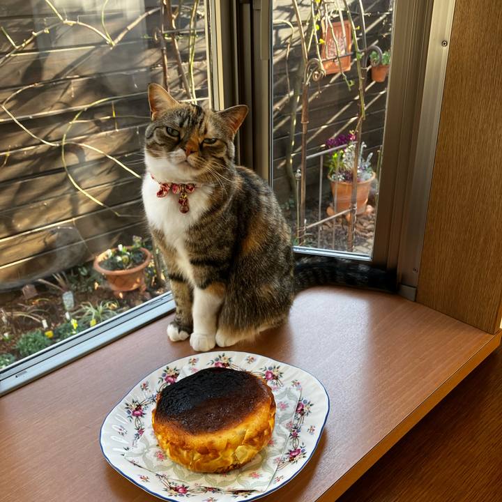 4bb435bb 27c9 419c 8f84 e5389cfc2d98 1771485113275