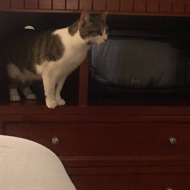 4bb46d32 3daa 4c7c a70f 7010863df353 1633830682043