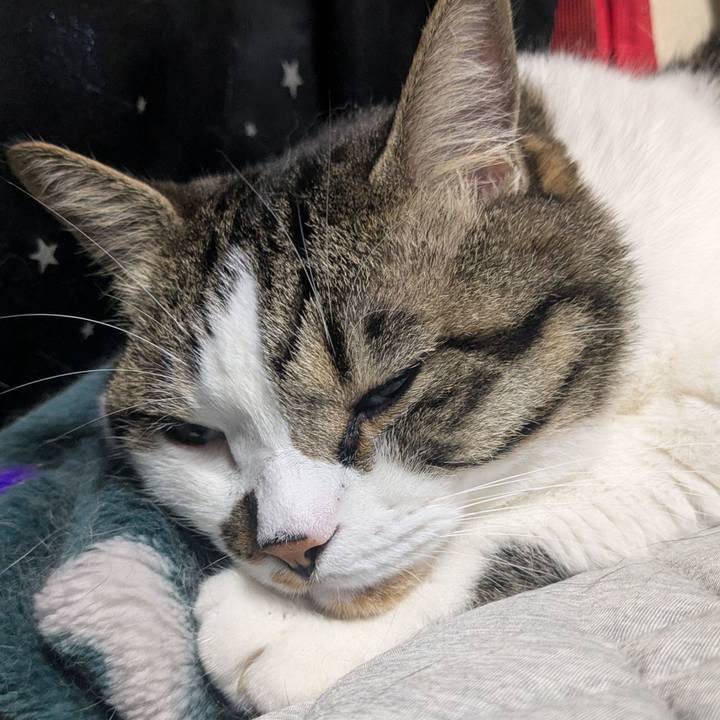 4bb48273 4bbf 45aa 85ee 61a0ca6c05c6 1752981966339