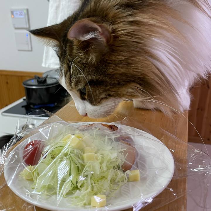 4bb495ce 2b1c 496b 8623 f1ad23db8f7e 1675115226854