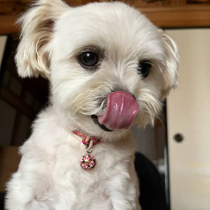 4bb4a820 fd1b 4f73 98d2 49d411215b81 1657255106078