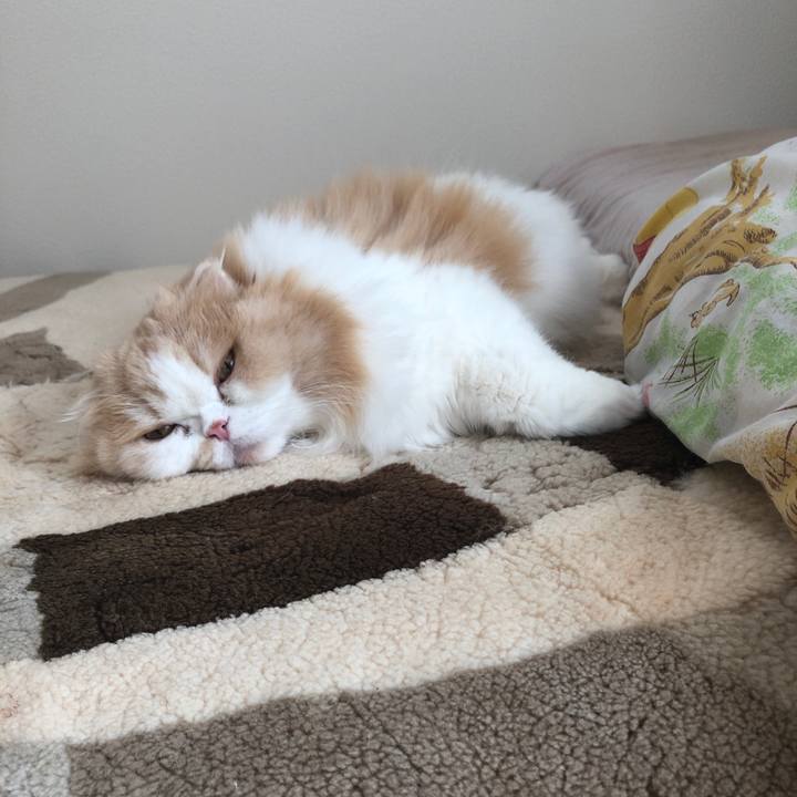 4bb4cabf 91cf 4303 93f8 6c6460bf9486 1668302388585